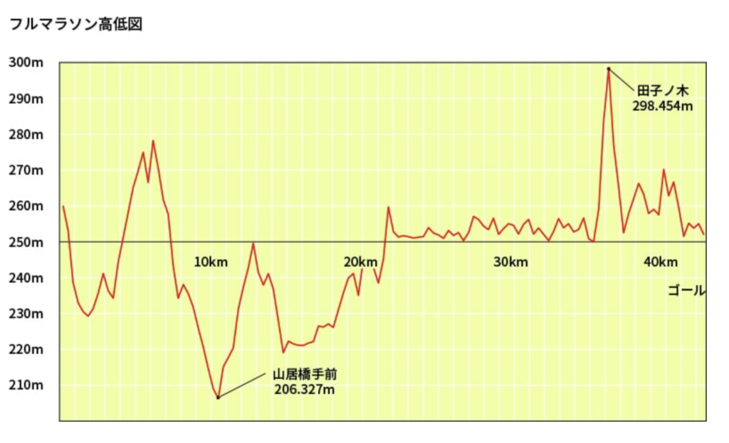田沢湖マラソン公式のフルマラソン高低図。最低地点は山居橋手前の206m、最高地点は田子ノ木の298m