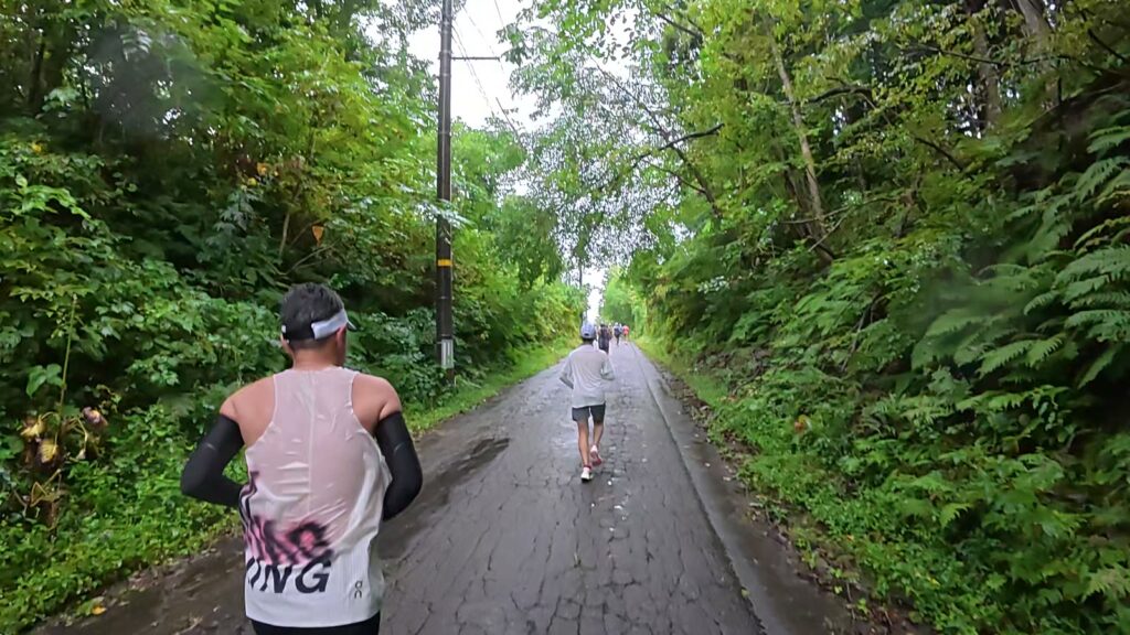 林の中を上っていく細い道(5.6km付近)
