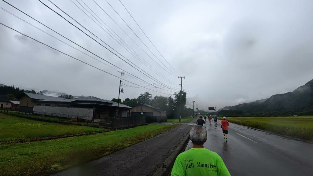 田園の中を走る道(11.4km付近)