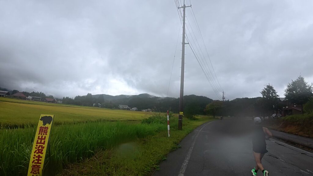 中間点付近の黄金色の田んぼ