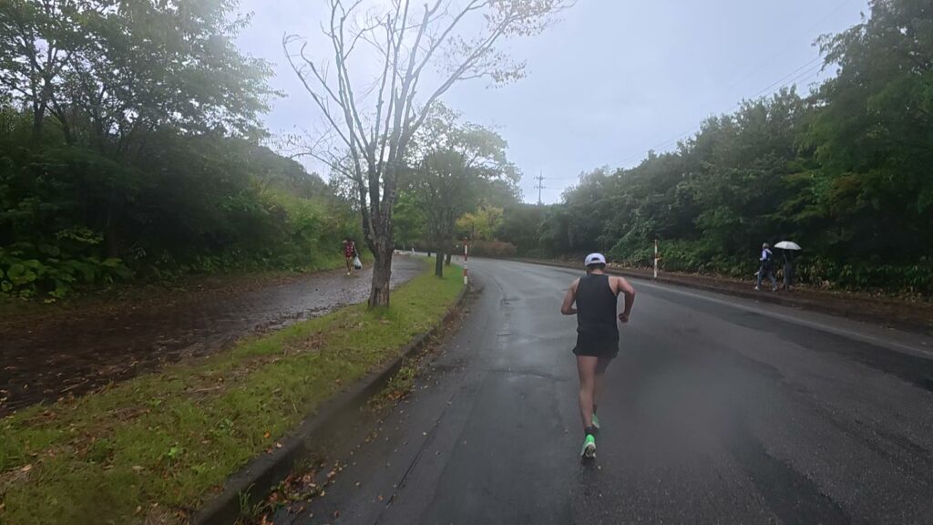 並木の間を上っていく中間点後の坂
