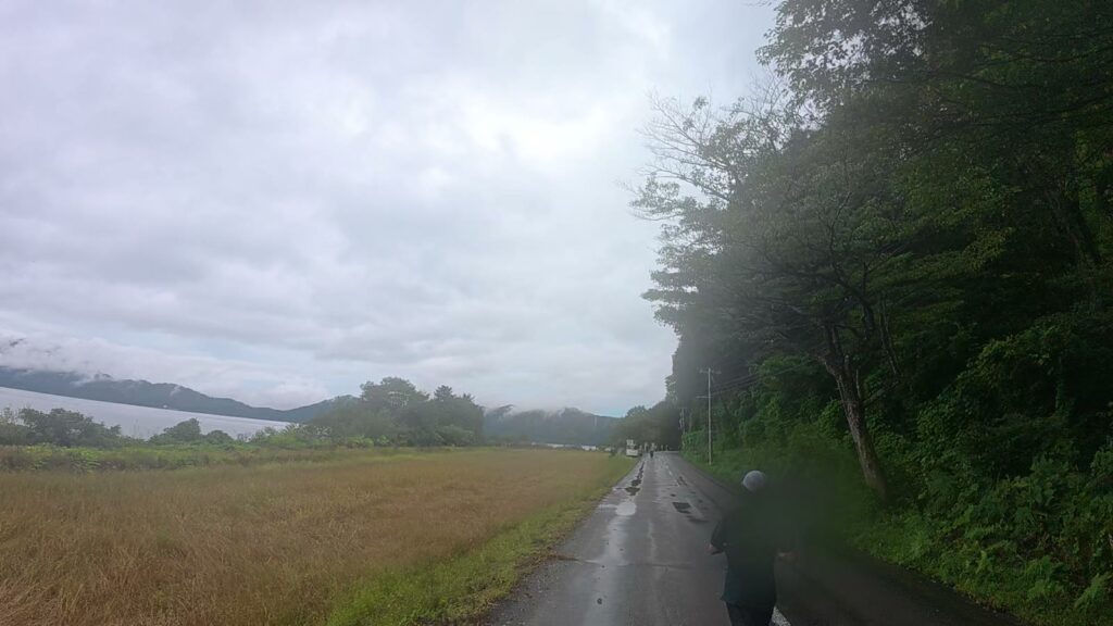 田んぼの向こうに見えてきた田沢湖(24.8km付近)