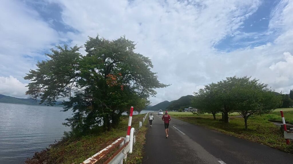 湖畔の大きな木と田沢湖(35.1km付近)