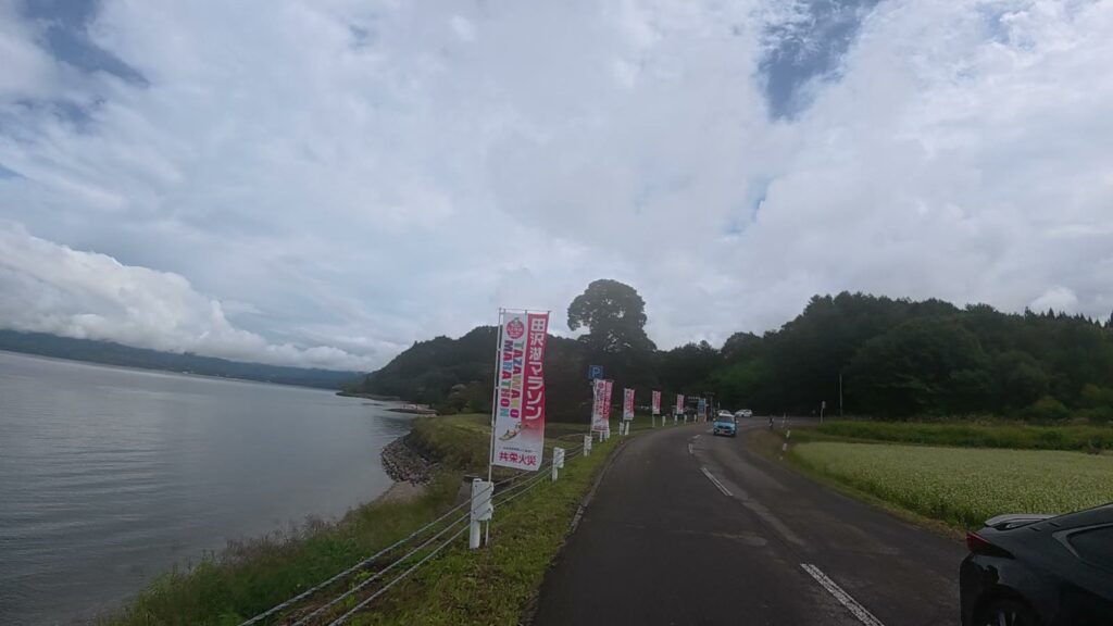 小さな白い花が咲く畑と湖の間の道(35.5km付近)