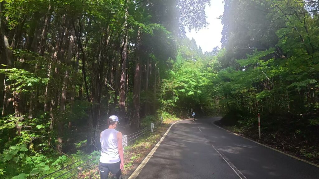 田子ノ木の下りの途中で立ち止まるランナー
