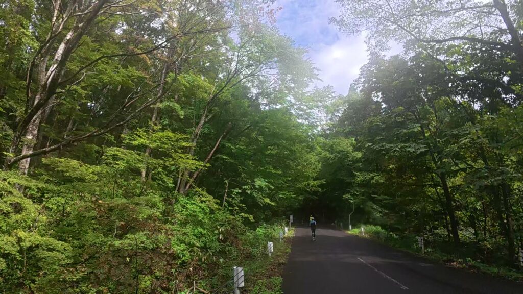 森の中を下っていく急な坂(36.8km付近)