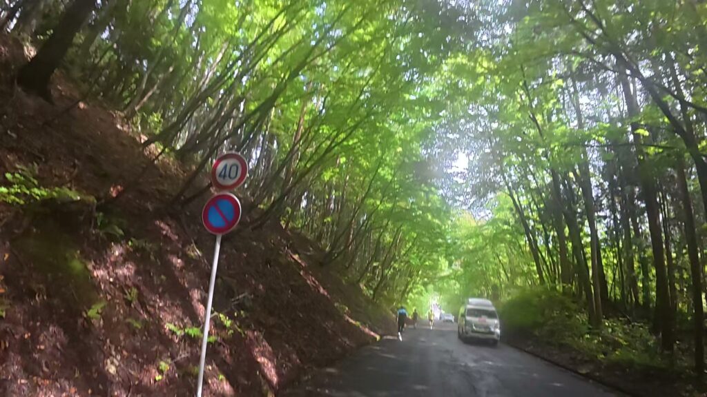 田子ノ木の下りの終盤(36.9km付近)