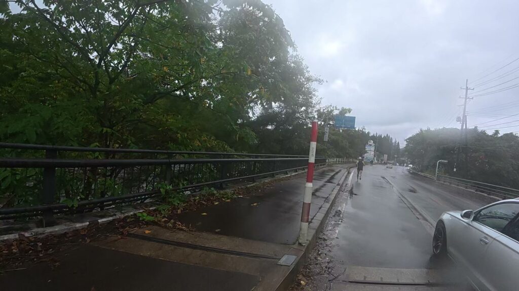 ランナーのすぐ横を車が通る道(20km付近)