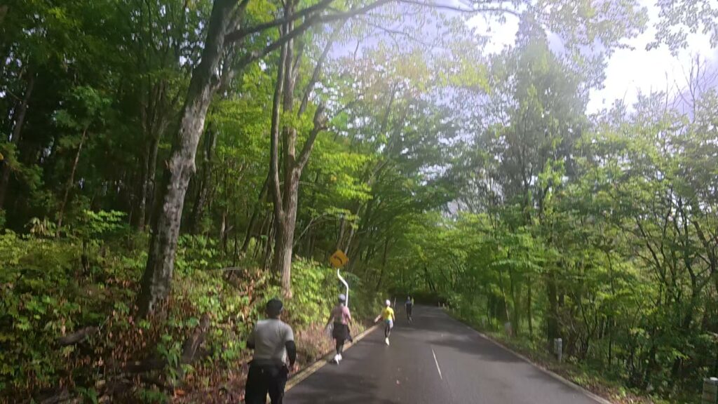森の中を下っていく田子ノ木の坂(36.7km付近)