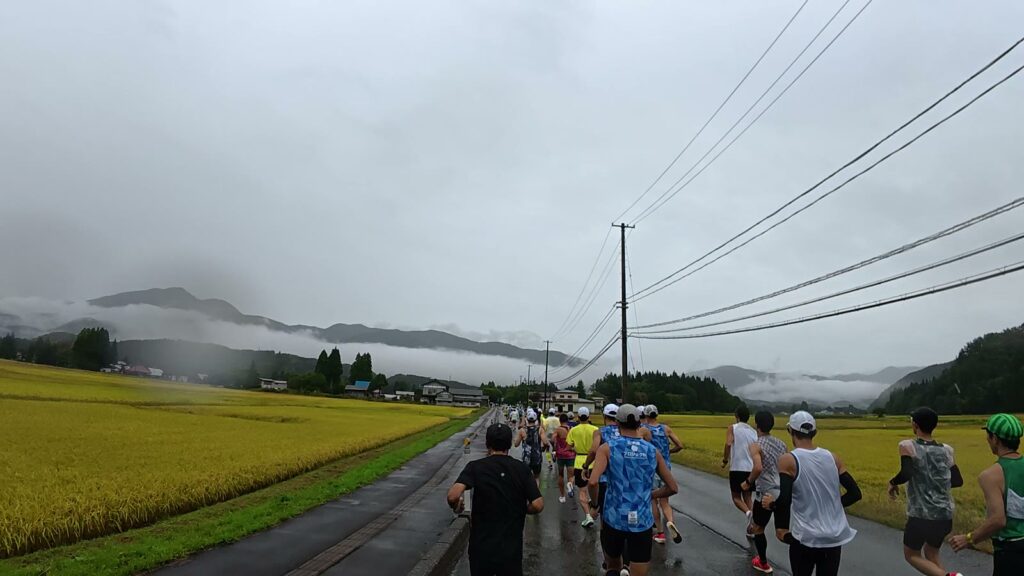 黄金色の田んぼと雲がかかった山の間を走るランナー(1km付近)