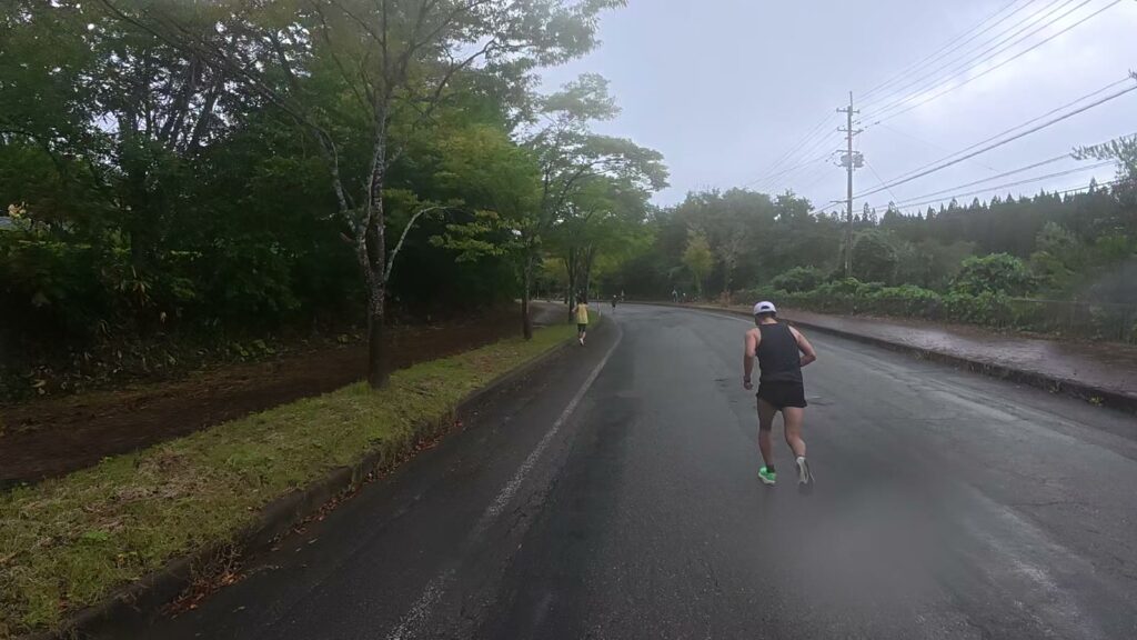 並木の上り坂を走るランナー（田沢湖マラソン中間点付近）